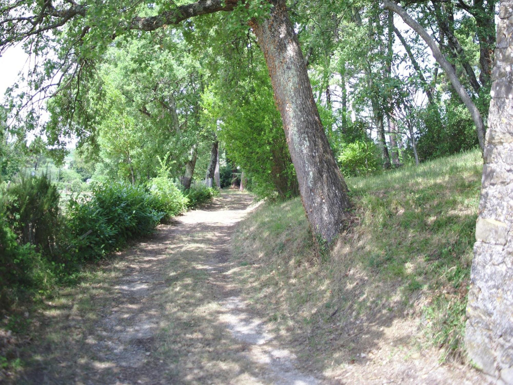 Lovely Holiday Home In Montefiridolfi With Hill View Dış mekan fotoğraf