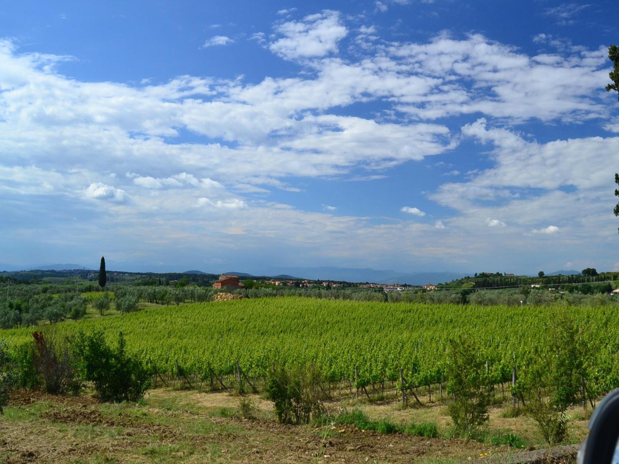 Lovely Holiday Home In Montefiridolfi With Hill View Dış mekan fotoğraf