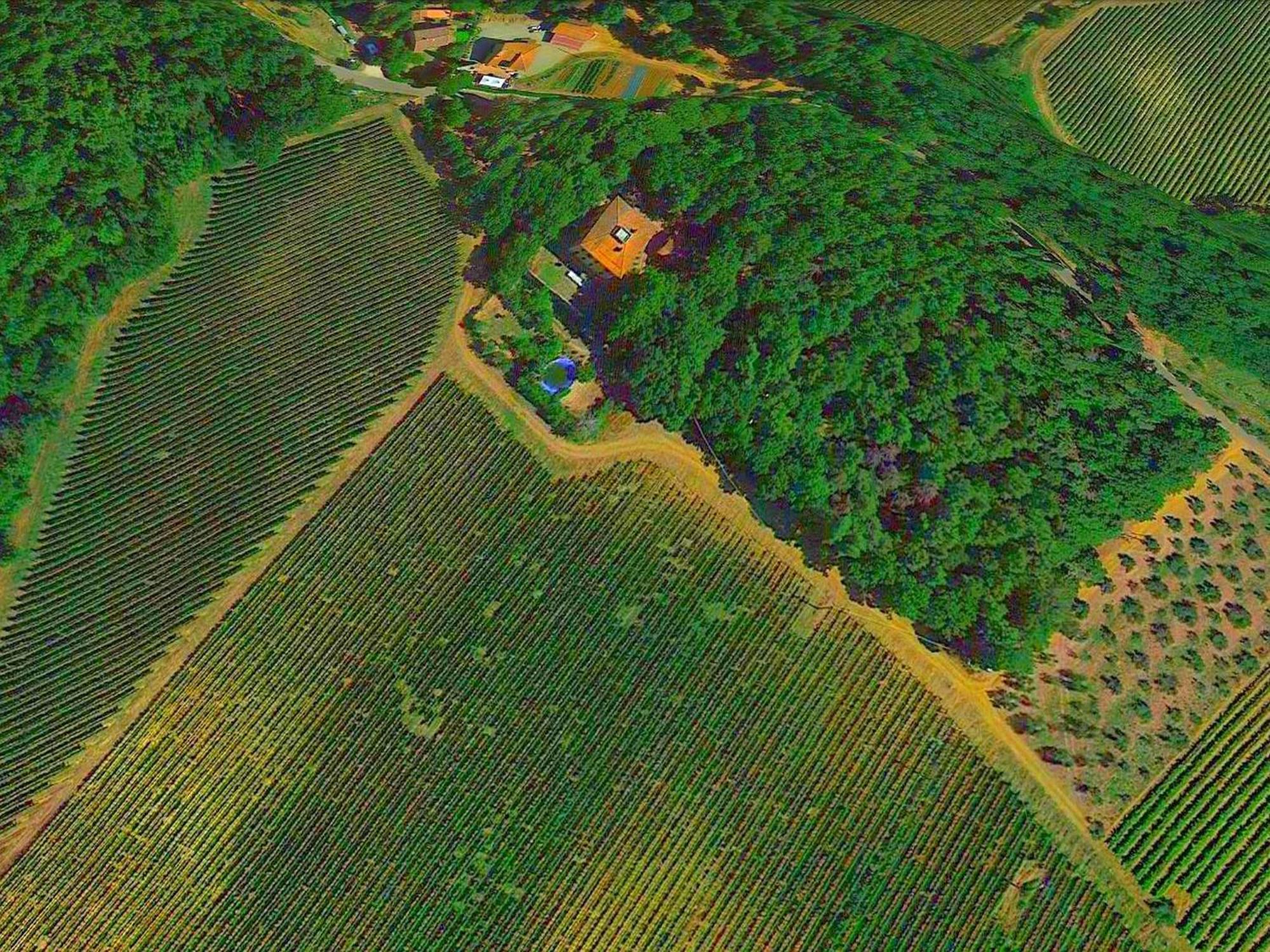 Lovely Holiday Home In Montefiridolfi With Hill View Dış mekan fotoğraf