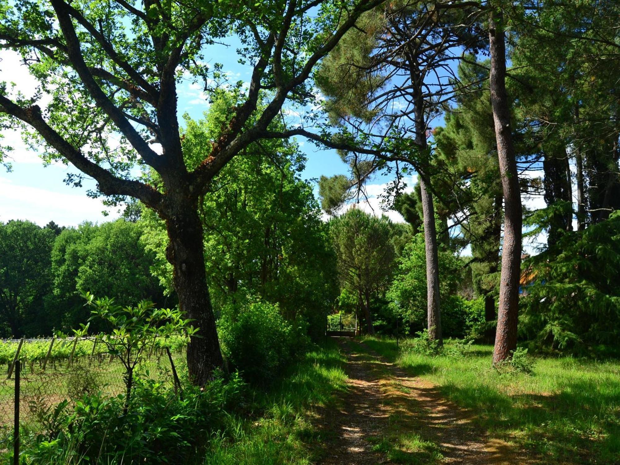 Lovely Holiday Home In Montefiridolfi With Hill View Dış mekan fotoğraf