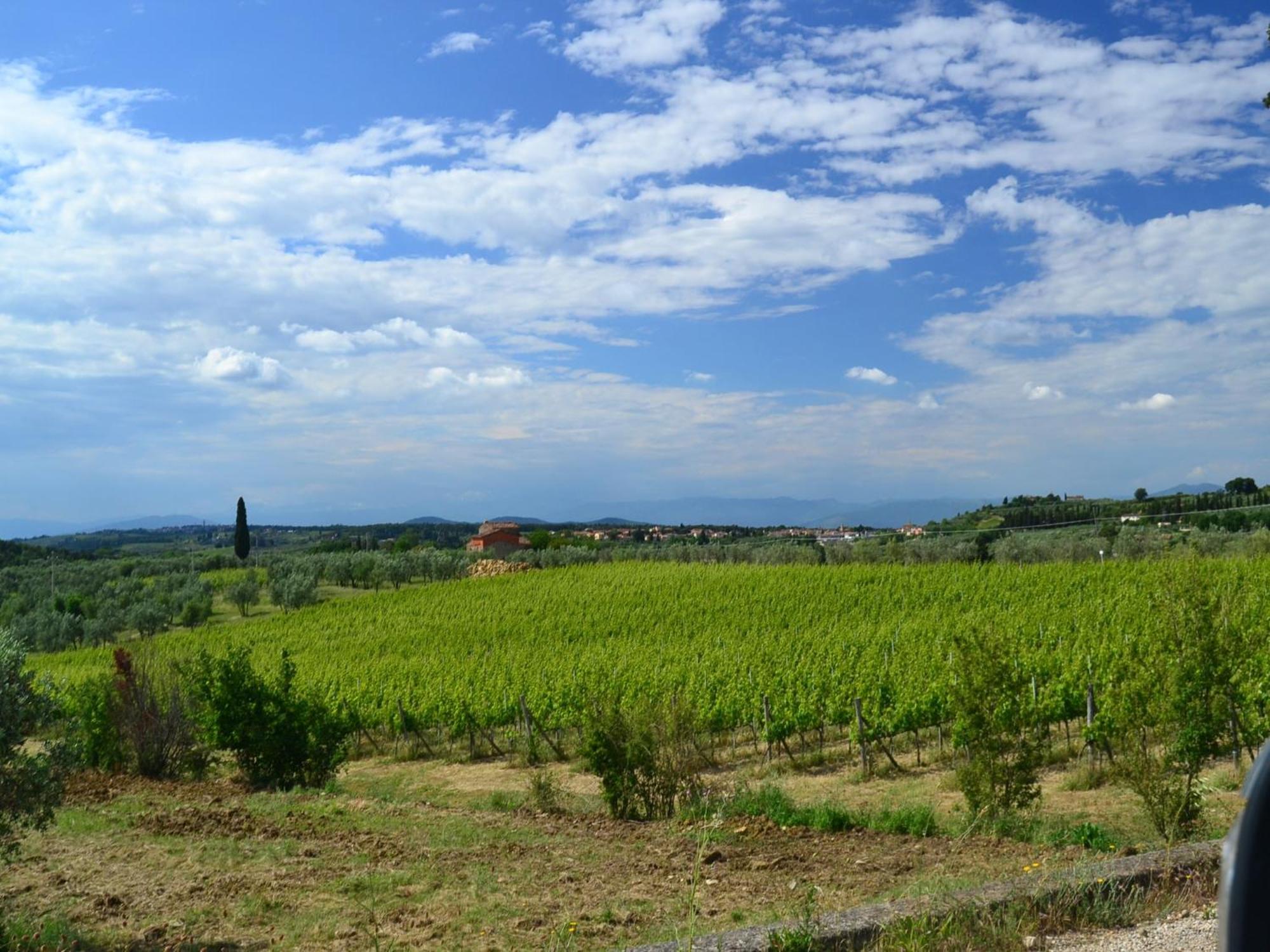 Lovely Holiday Home In Montefiridolfi With Hill View Dış mekan fotoğraf